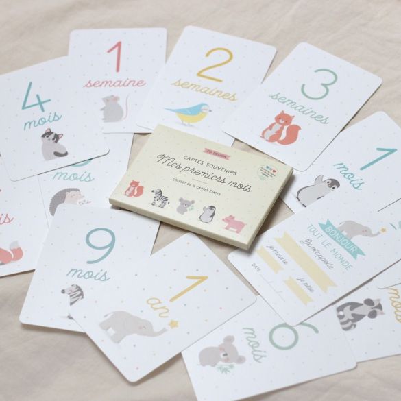 Coffret premiers mois de bébé - Cartes étapes - Zü