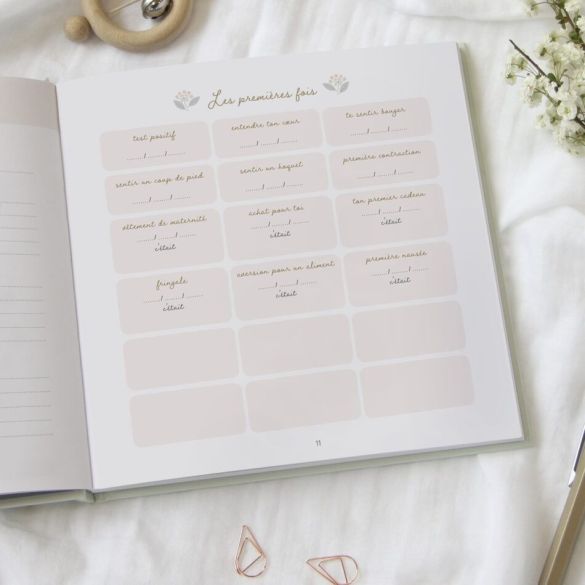 Journal de grossesse Zü