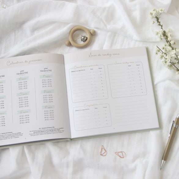 Journal de grossesse Zü