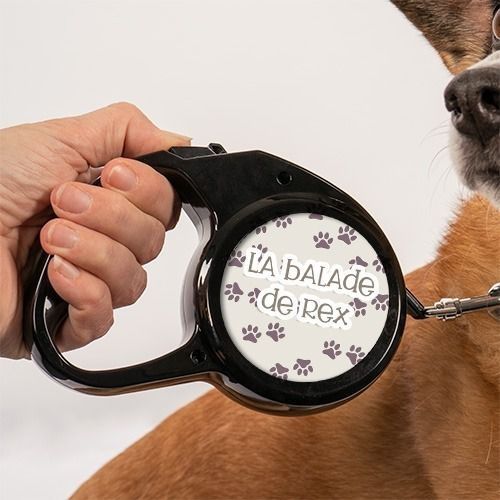 Laisse pour chien personnalisée - Pattes