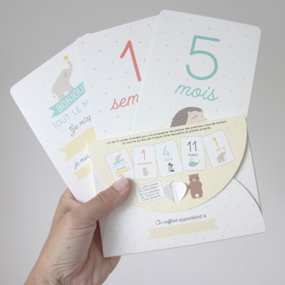 Coffret premiers mois de bébé - Cartes étapes - Zü