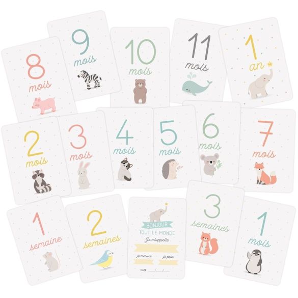 Coffret premiers mois de bébé - Cartes étapes - Zü