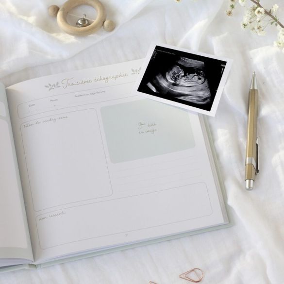 Journal de grossesse Zü