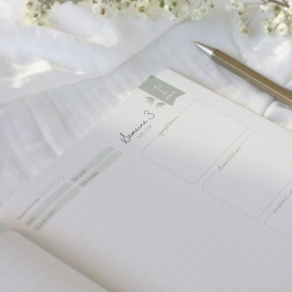 Journal de grossesse Zü