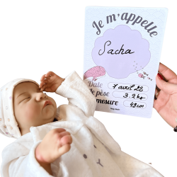 Cartes étapes effaçables et reversibles Toise Babyshell