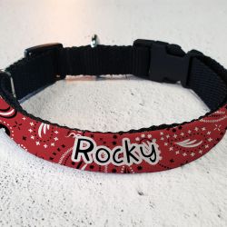 Collier pour chien personnalisé - Bandana rouge