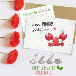 Carte à planter J'en pince pour toi !