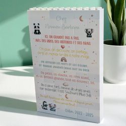 Déco personnalisée en briques style LEGO – Cadeau Nounou, Crèche ou MAM