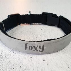 Collier pour chien personnalisé - Etoile