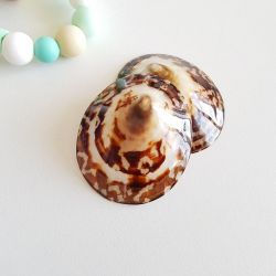 Coquillages d'allaitement en nacre Baby Shell